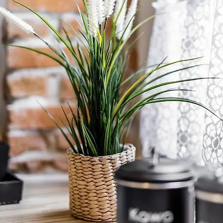 Rzeźnicza 24 Apartament *