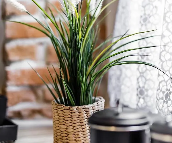 Rzeznicza 24 Appartamento *